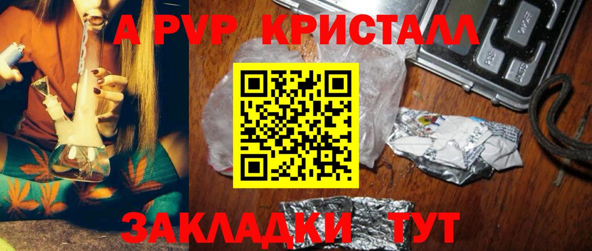 Alfa_PVP  Вход с VPN  Ачхой-Мартан  Альфа ПВП СК  А ПВП крисы CK 