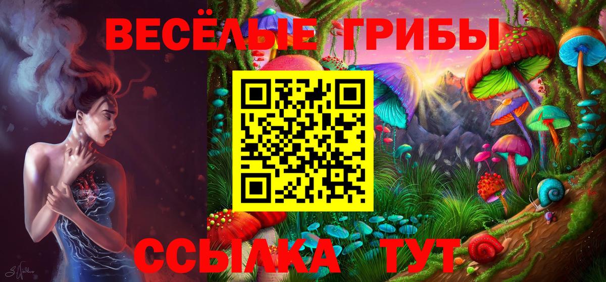 Псилоцибиновые грибы ЛСД  Вход с VPN  Ачхой-Мартан  Псилоцибиновые грибы MAGIC MUSHROOMS 