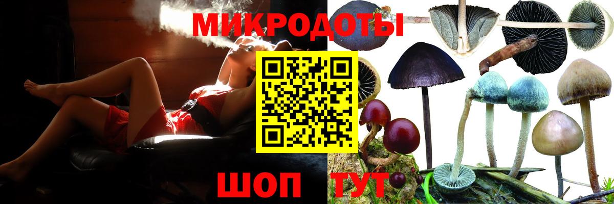 Псилоцибиновые грибы Psilocybine cubensis Ачхой-Мартан